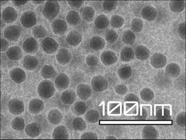 Microscope image of spherical nanoparticles with a 100 nm scale bar